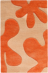 4' × 6' rug to scale