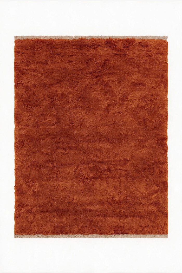 A rectangular shag rug in a warm rust burnt orange color, shown flat against a plain white background.