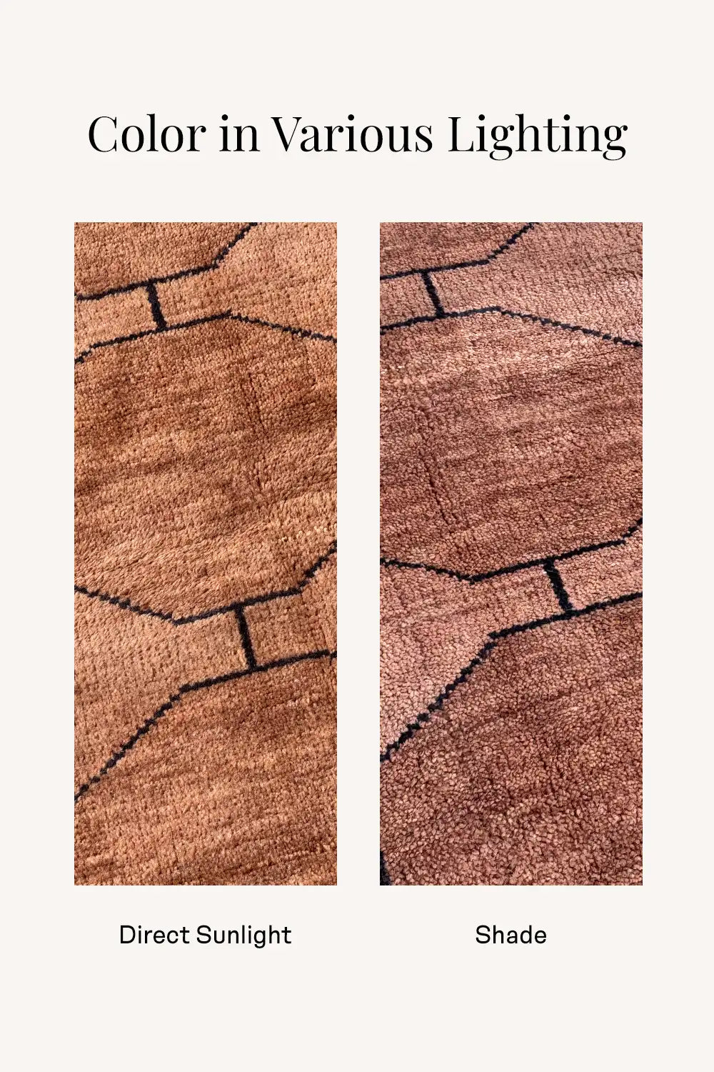 Side-by-side comparison of a brown hand knotted rug's color in direct sunlight versus shade