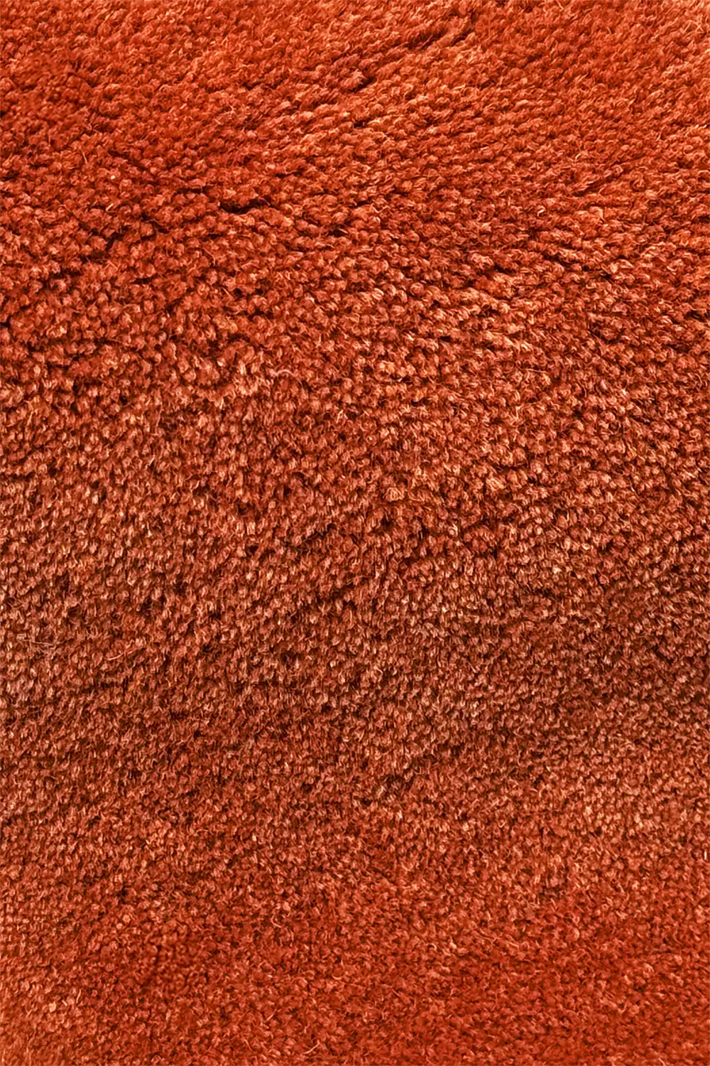 Close-up of rust wool rug with plush high-pile hand-tufted texture and sculpted edge detail