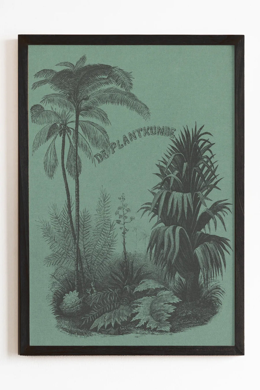 Vintage 8x10 botanical illustration print with lush green background