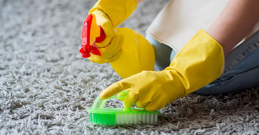 close up view of a person spot cleaning a wool rug