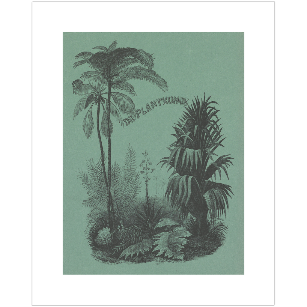Vintage plant graphic art print with a deep green backdrop.
