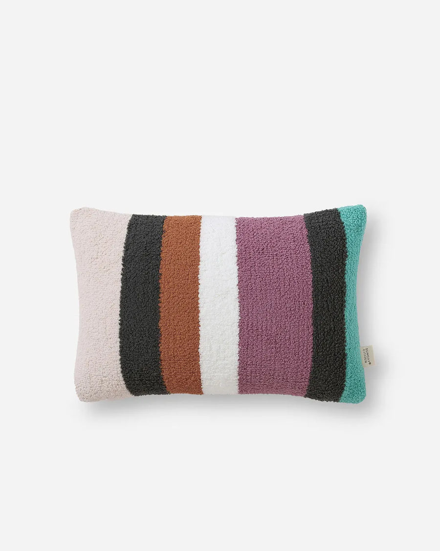 Plush Multicolor Throw Pillow