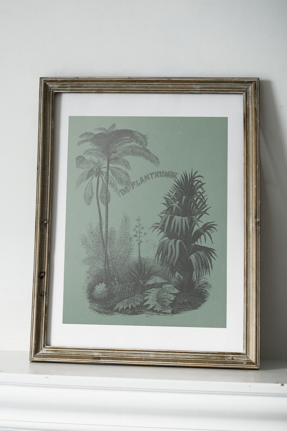 Vintage plant graphic art print with a deep green backdrop.