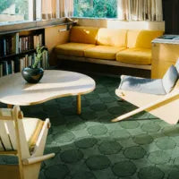 persian knotted rug modern living room