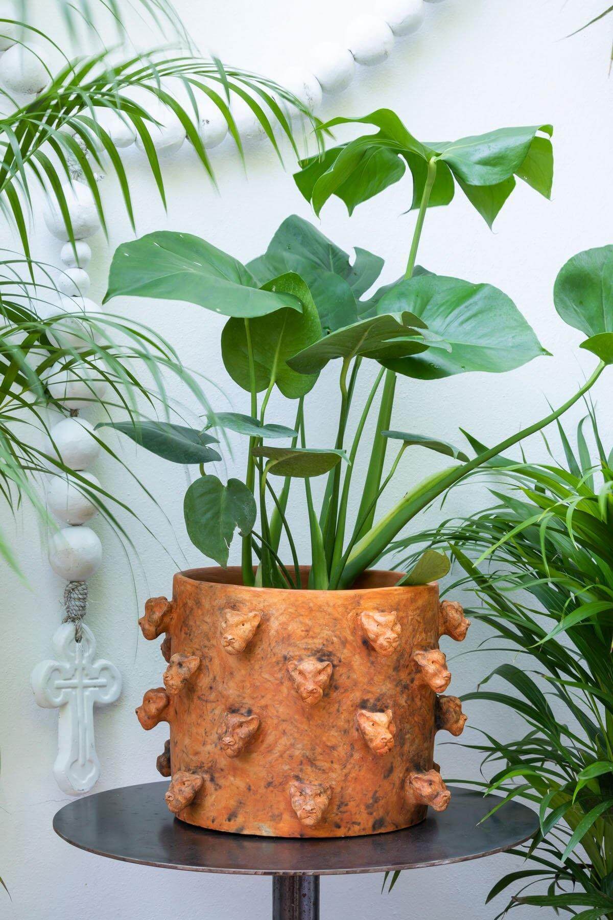 3D Jaguar Head Handmade Spiked Clay Planter in smoked brick color, showcasing unique design
