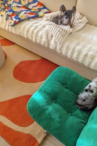 Two dogs on a couch above an abstract orange and tan rug and a green cushion with a colorful pillow in the background lifestyle