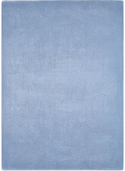 10' × 14' rug to scale