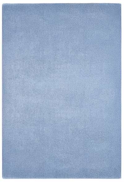 4' × 6' rug to scale