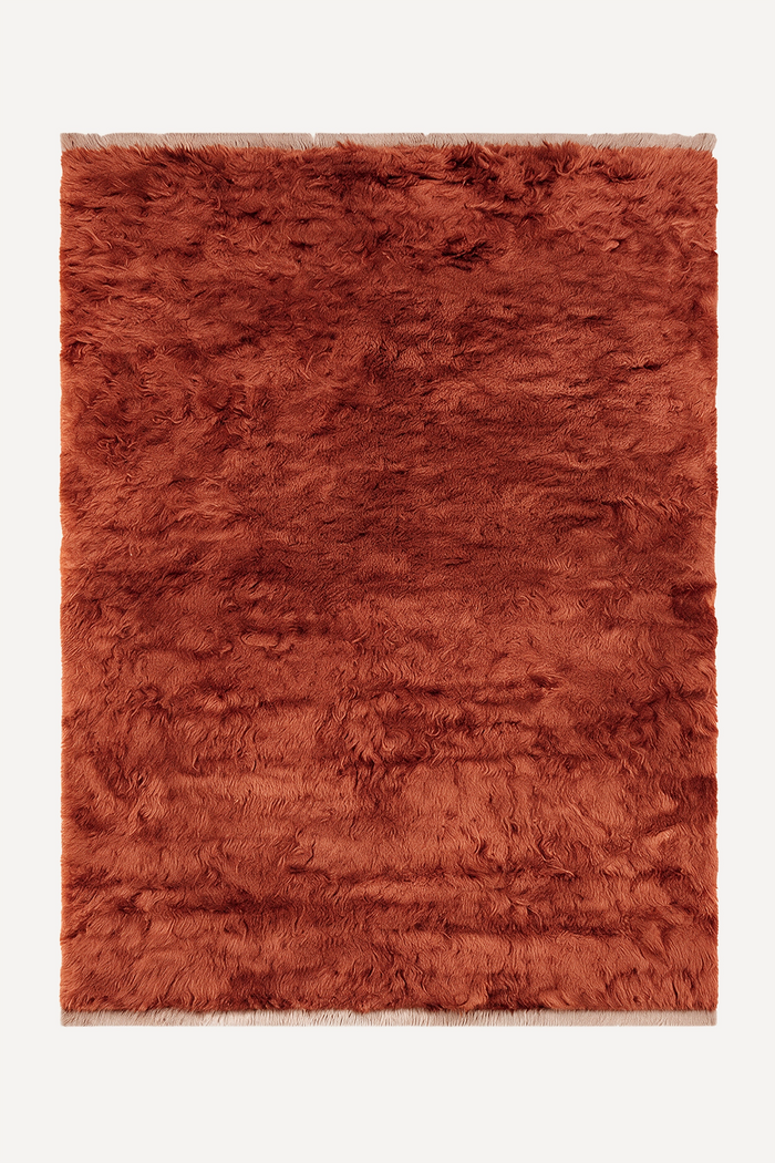 A rectangular shaggy area rug in a warm rust or terracotta color, shown flat against a plain off-white background burnt orange