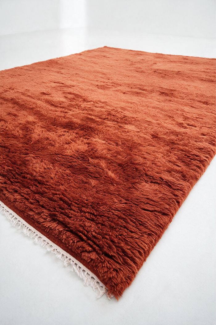 A rust-orange shaggy area rug with white fringe, shown from an elevated angle on a clean white floor burnt orange