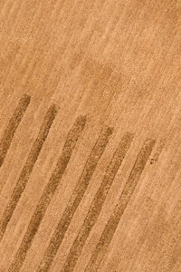 Golden Harmony Hand-Knotted Wool Runner Rug