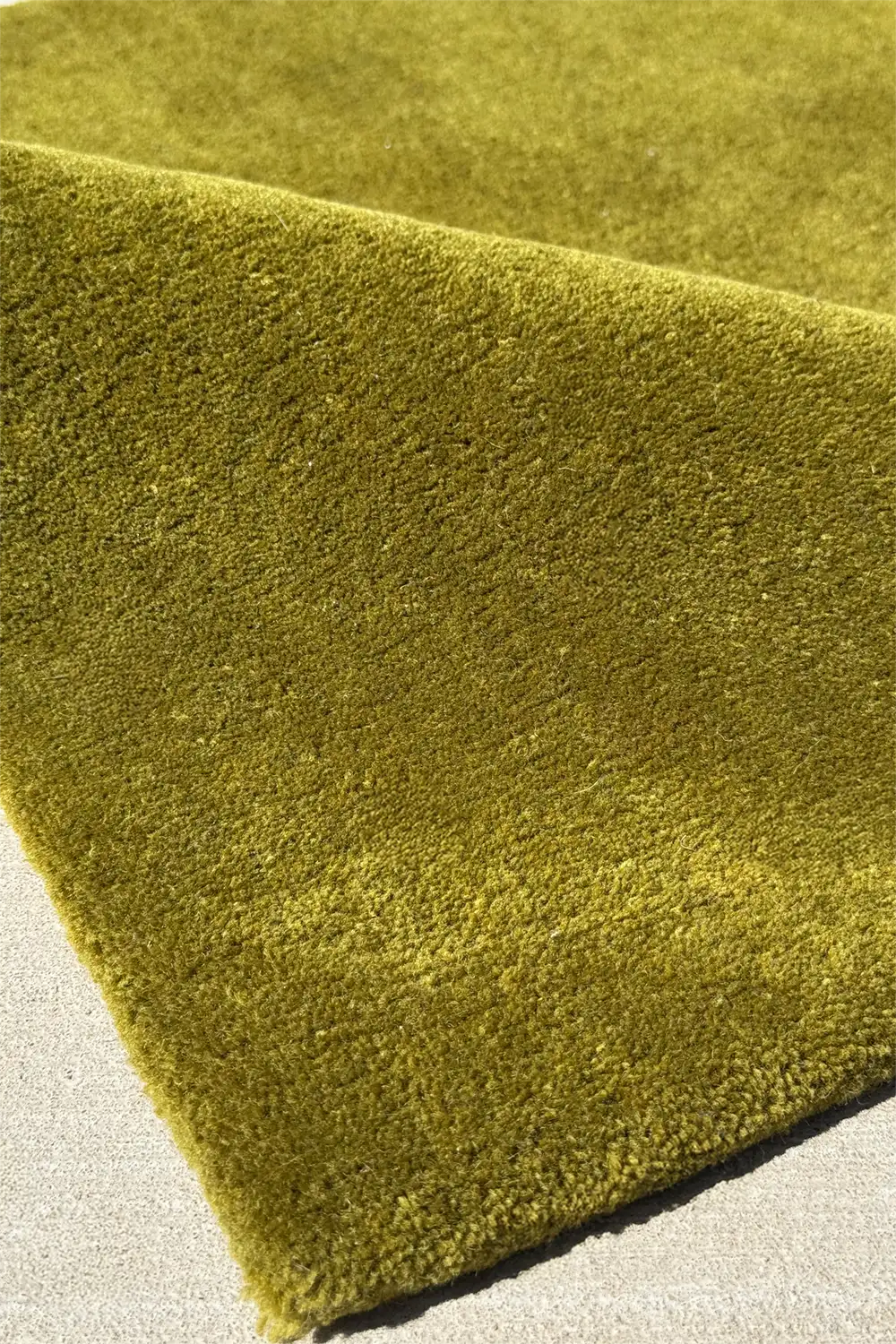 dark olive green rug on a neutral background