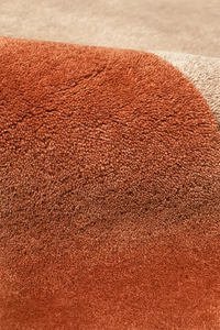 Close-up of a plush, high-pile rug in a warm rust or terracotta color, showing the dense loop texture and a curved seam leading to a lighter beige section.