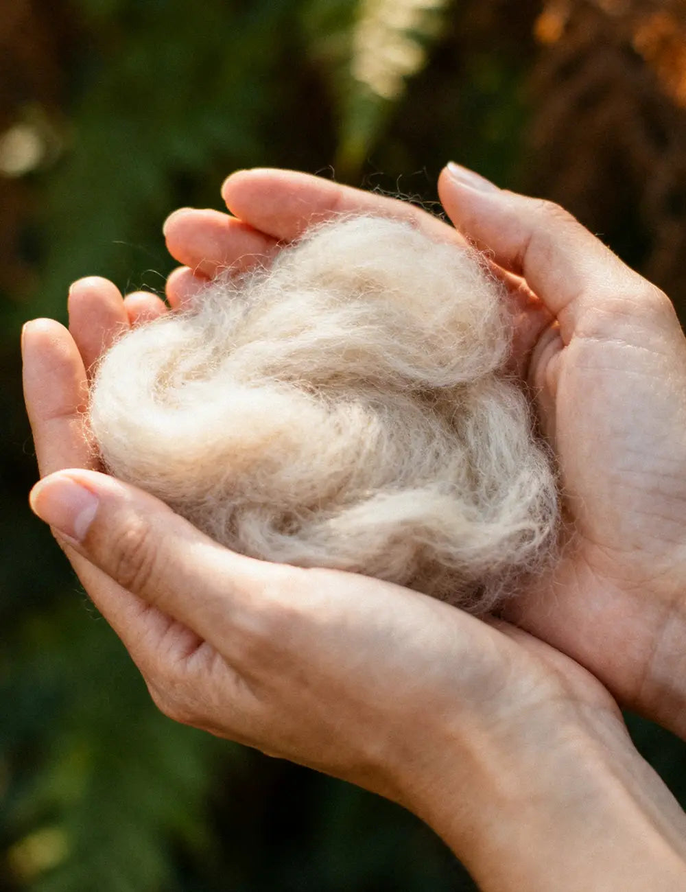 Hands holding a ball of natural wool fiber against a blurred green background
