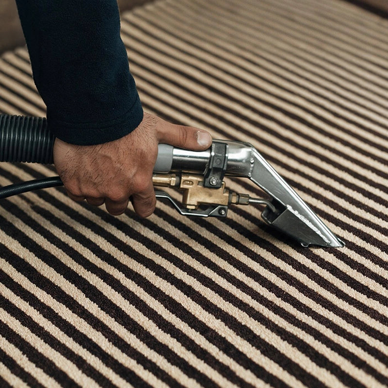 Professional rug cleaning on a dark brown Relay wool rug