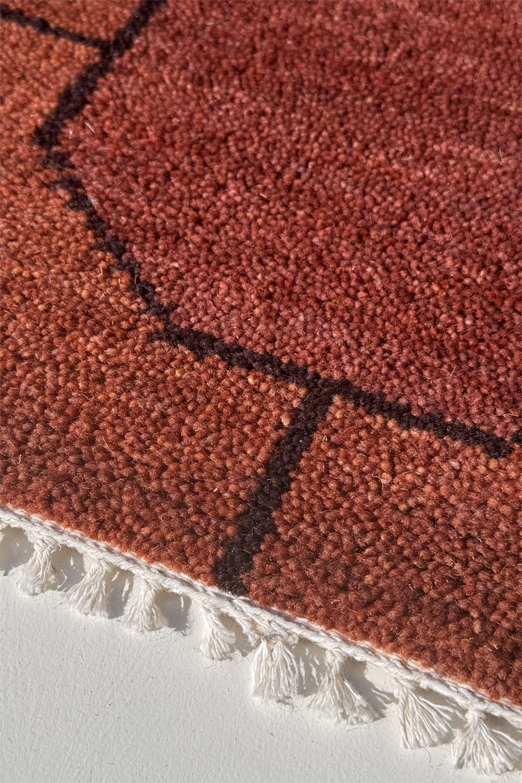 Close-up of a textured chestnut rug with a white border on a light gray background