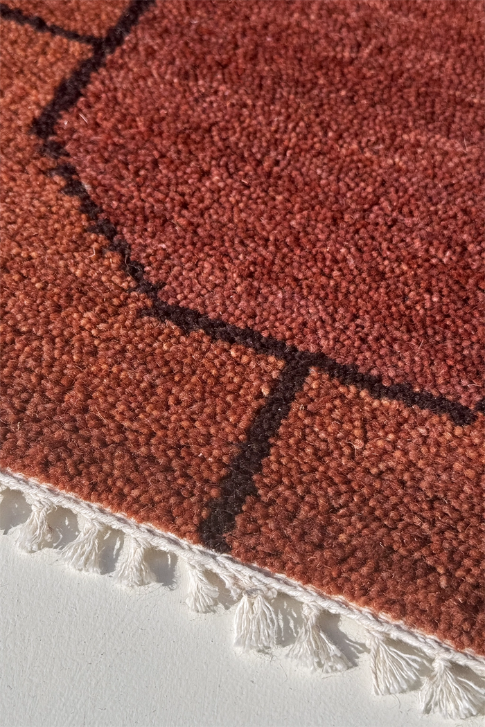 Close-up of a textured brown rug with a white border on a light gray background chestnut