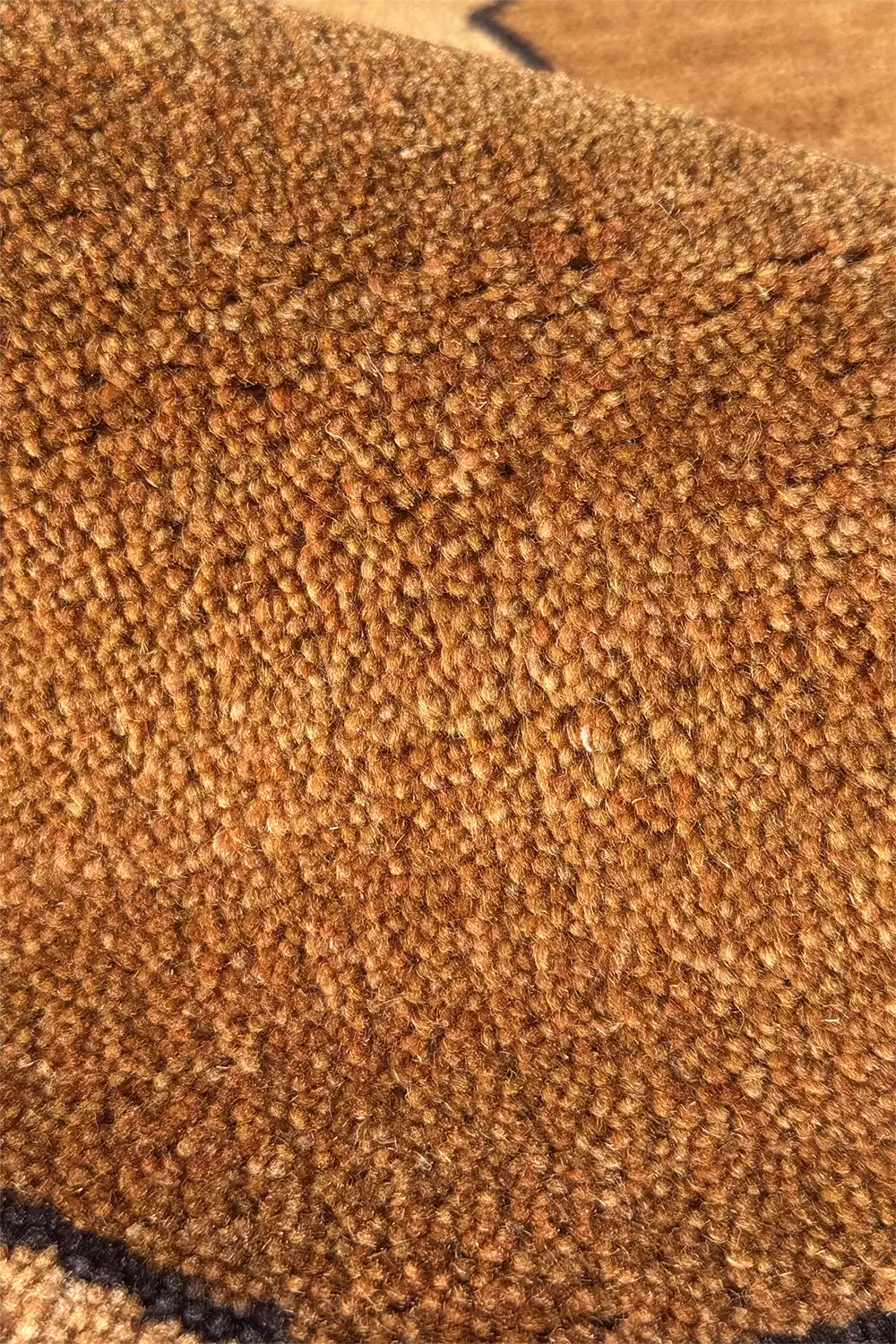 Close-up of honey gold brown wool kntoted carpet texture