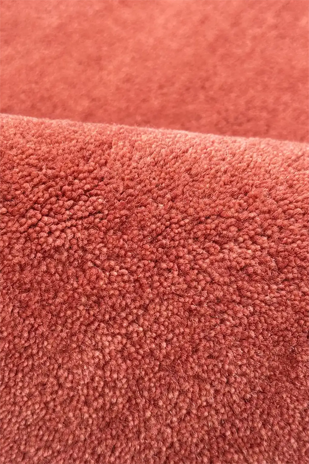 Close-up of a textured red-orange rug surface