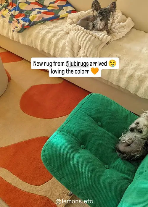 Playful orange and beige abstract-patterned wool rug styled in a cozy living room with a green ottoman and a small dog lounging on the couch.