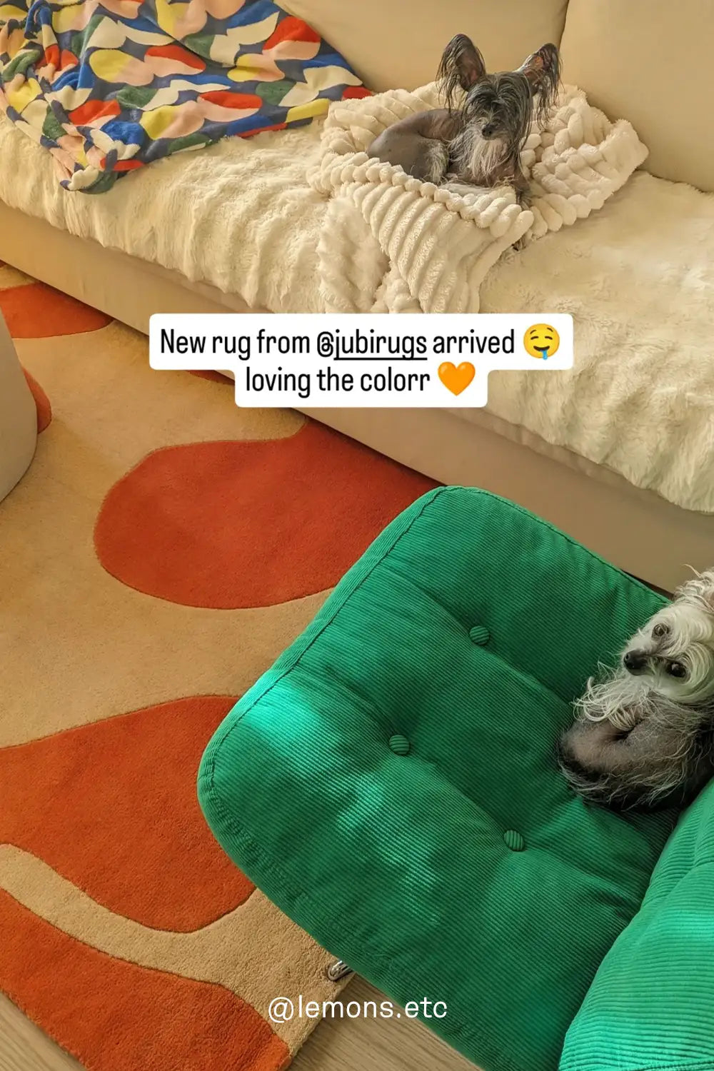 Abstract floral area rug styled in a modern living room with neutral furniture and natural light.