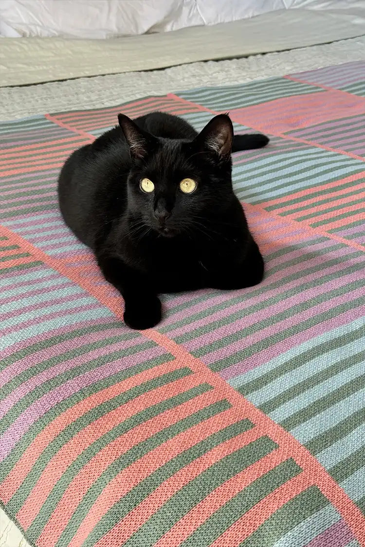 A black cat lounging on a striped knit throw blanket in pastel pink, green, and purple tones, styled on a bed for a cozy and modern look.