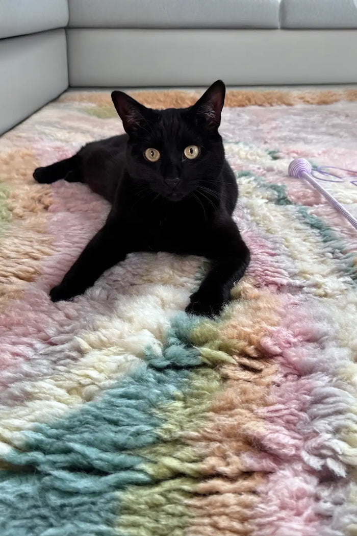 black cat lounging on a handmade plush colorful shag living room wool rug