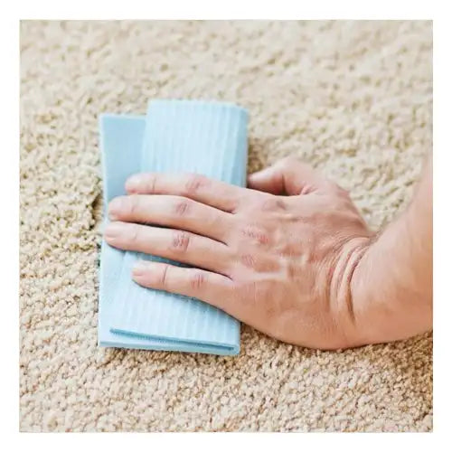 A hand blotting a rug with a damp cloth for spot cleaning to remove stains effectively.