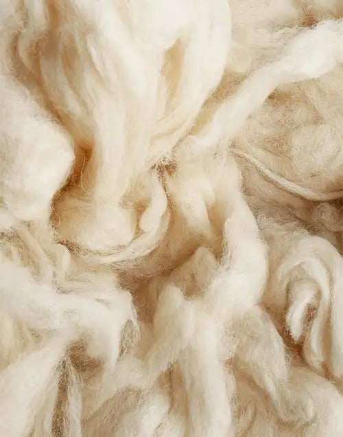 Close-up of natural wool fibers, showcasing the softness and quality of sustainably sourced New Zealand wool
