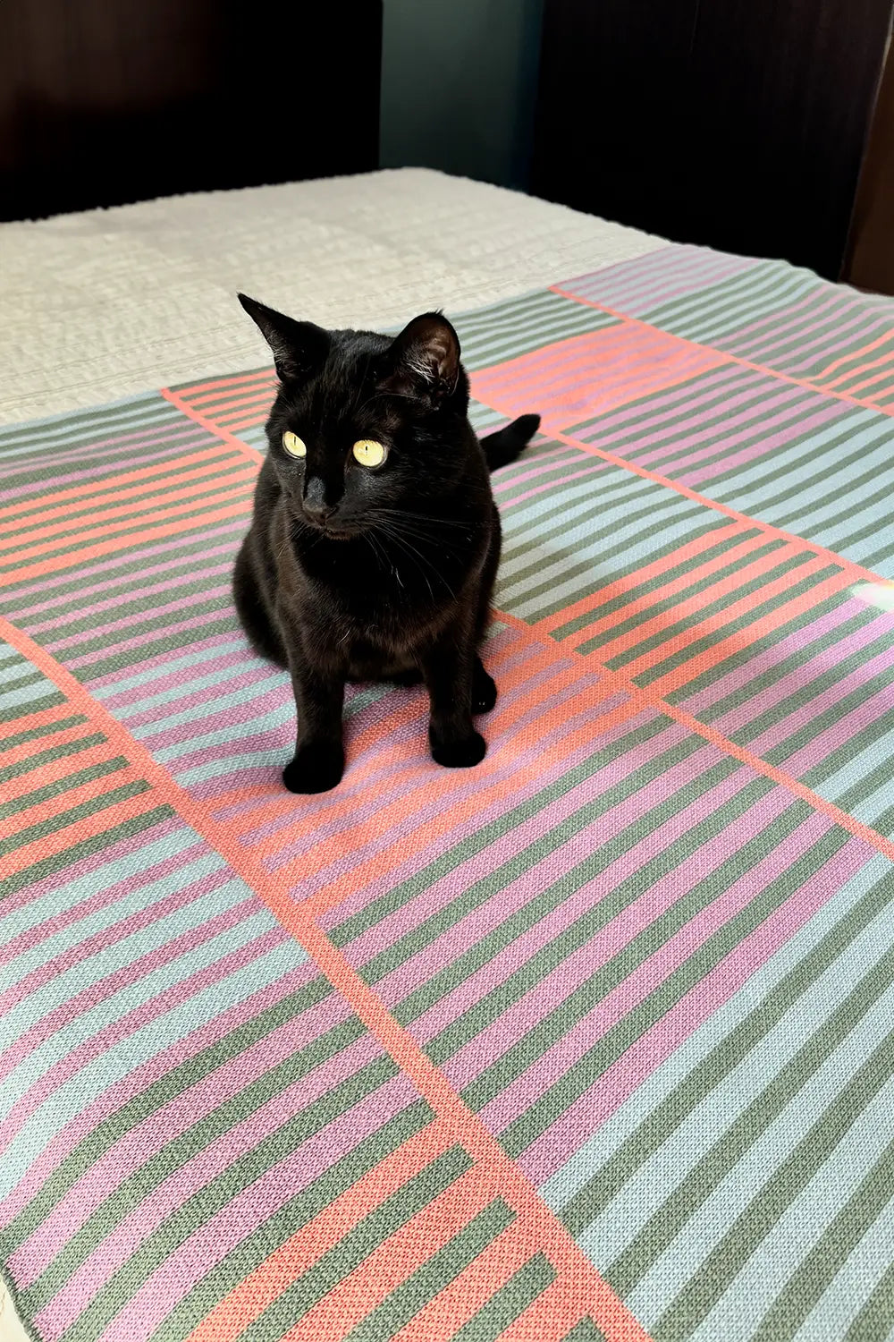 Modern pastel striped knit throw blanket styled on a cozy bed.
