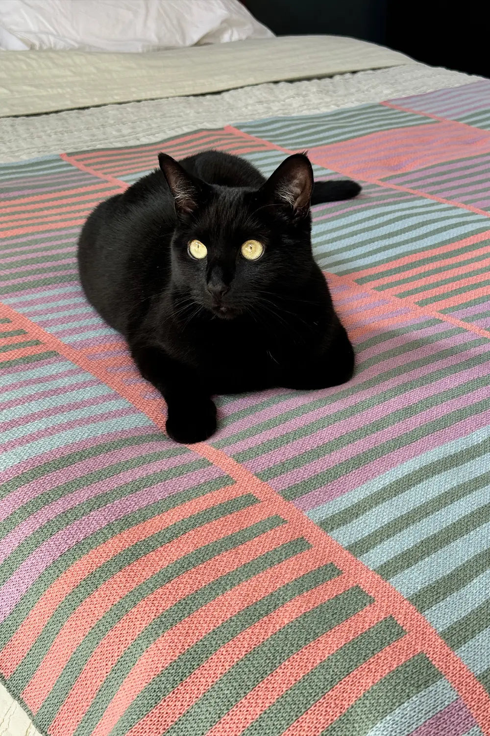 Pastel striped organic cotton knit throw blanket draped over a bed with a black cat on top.
