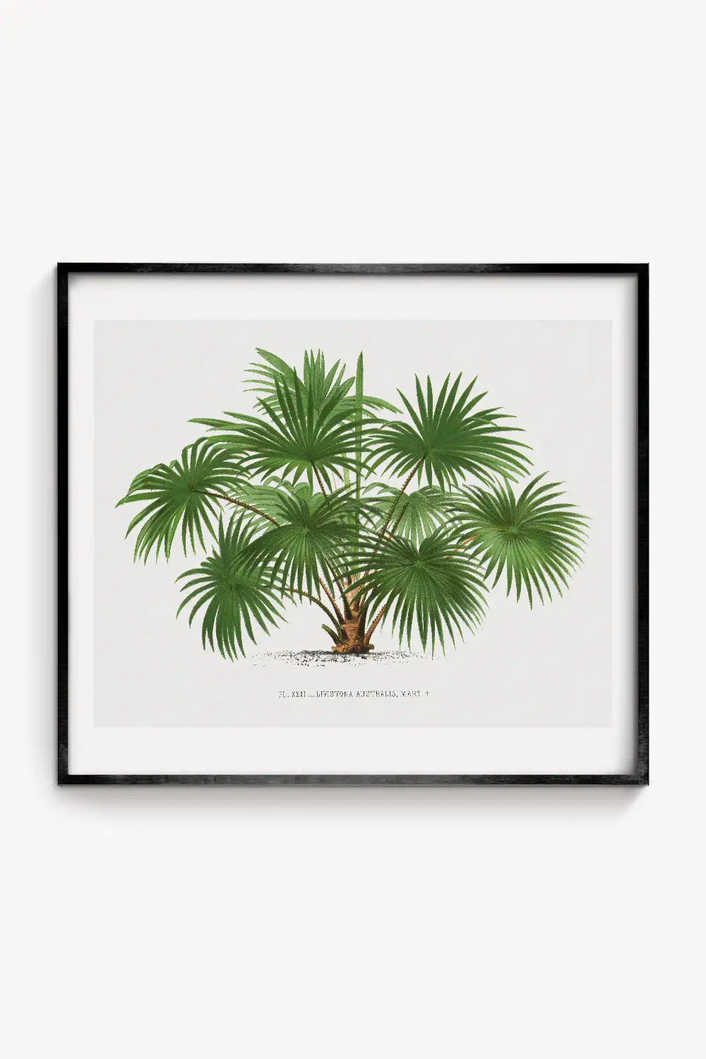Vintage Palm Tree Landscape Art Print