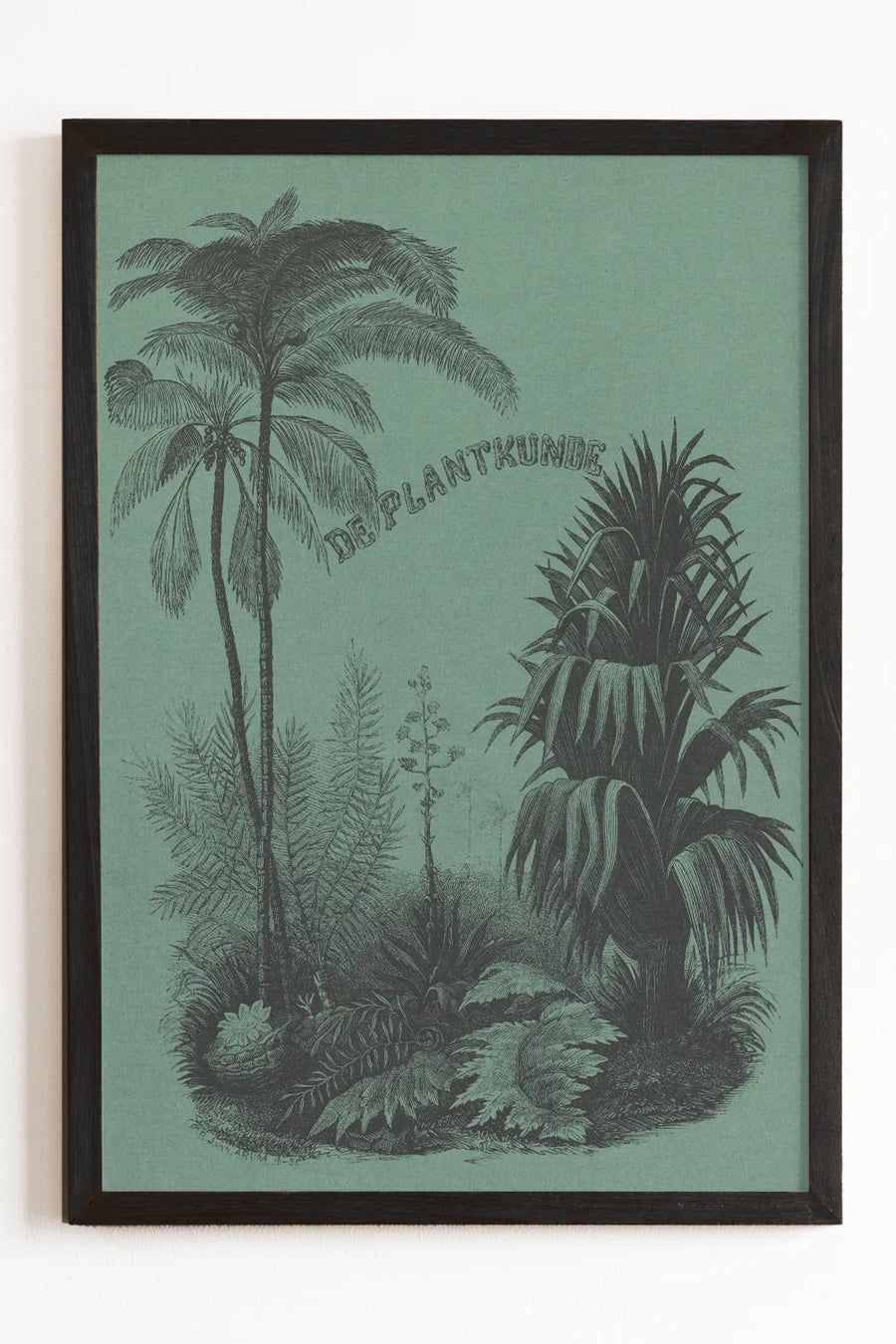 Vintage Plant Art Print